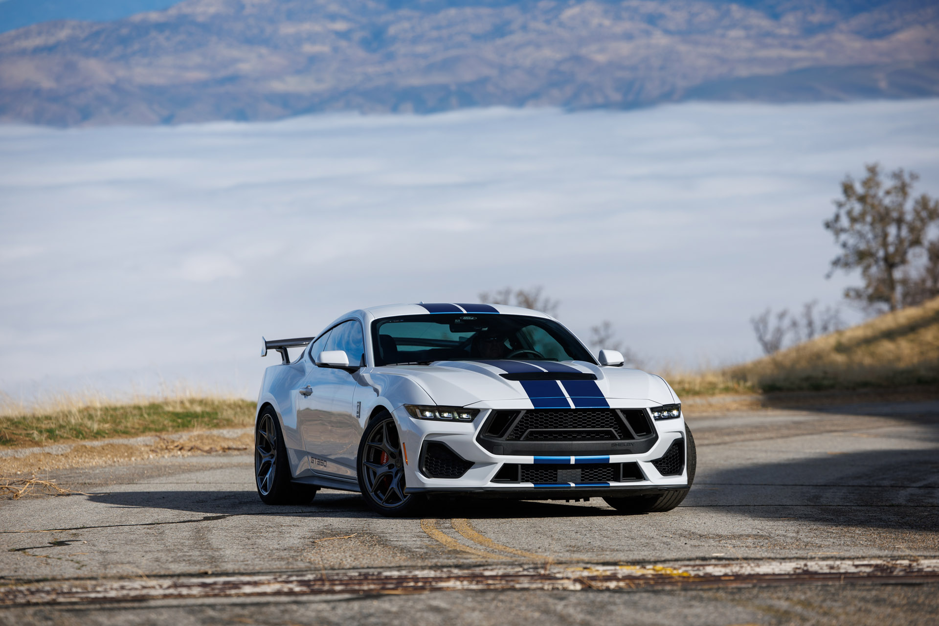 2025 Shelby GT350